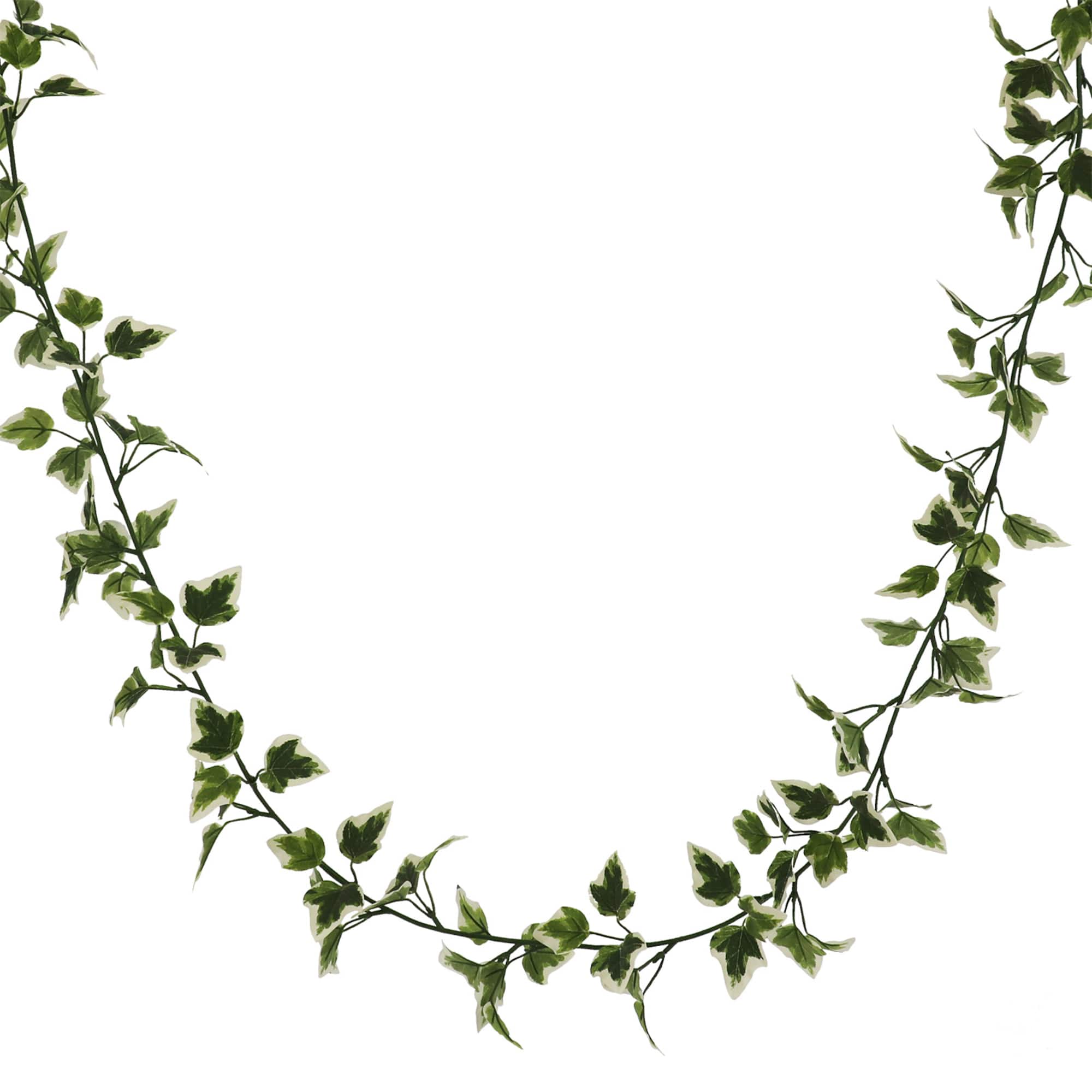 6ft. Variegated Ivy Garland by Ashland®